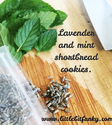littlebitfunkyshortbread-6645035-jpg